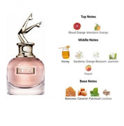 Scandal By Night Jean Paul Gaultier