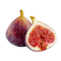 Fig