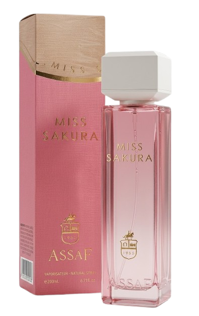 Assaf miss sakura