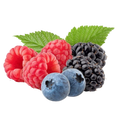 Raspberry