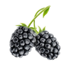 Black Berry