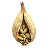 Cardamom