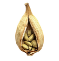 Cardamom