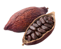 Cocoa