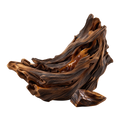 Oud
