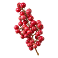 Pinkpepper