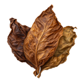Tobacco