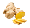 Ginger