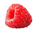 Rasberry