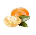 Tangerine