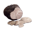 Truffle