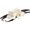 BourbonVanilla